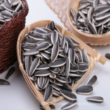 new crop Chinese company Inner mongolia sunflower seeds 601 market cheap price